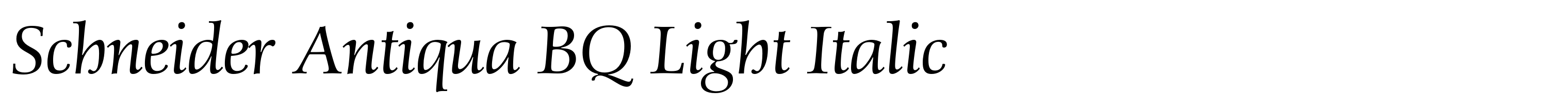 Schneider Antiqua BQ Light Italic